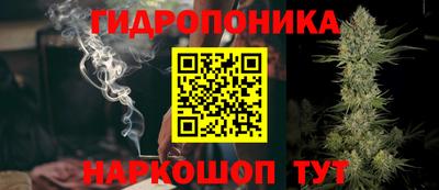 крисы Берёзовский