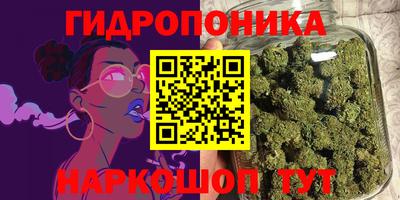 дживик Бийск
