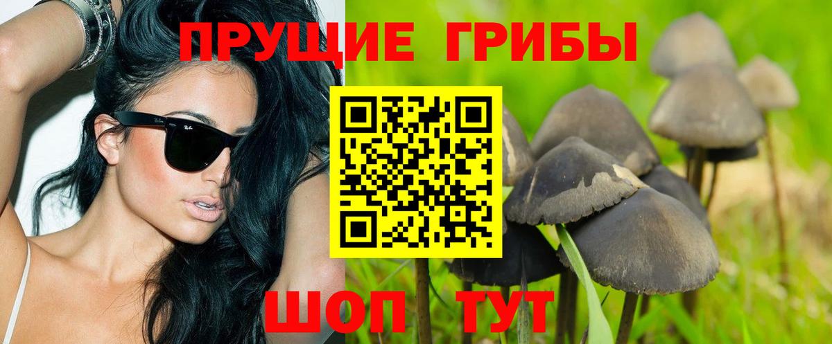 Иваново  Галлюциногенные грибы Cubensis  Вход с VPN 